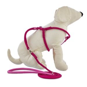 Pink leash and harness set!